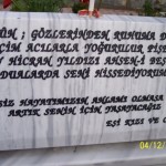 n607538684_1055968_9977